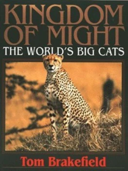 Image of Kingdom of Might by Tom Brakefield Book