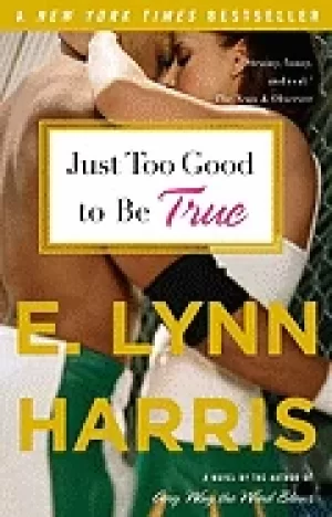 Image of just too good to be true a novel