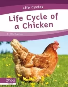 Image of Life Cycles: Life Cycle of a Chicken