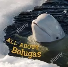 Image of All about Belugas : English Edition
