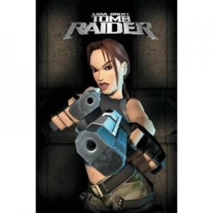Image of Tomb Raider Tankobon. Vol. 5 by Andy Park Paperback