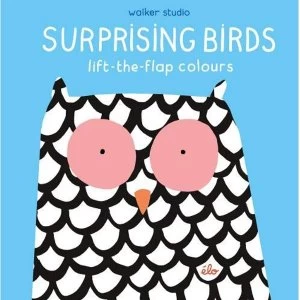 Image of Surprising Birds: Lift-the-Flap Colours Hardback 2018
