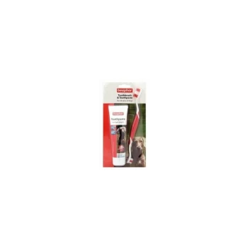 image of Dental Kit Dog and Cat 100g - 24482 - Beaphar