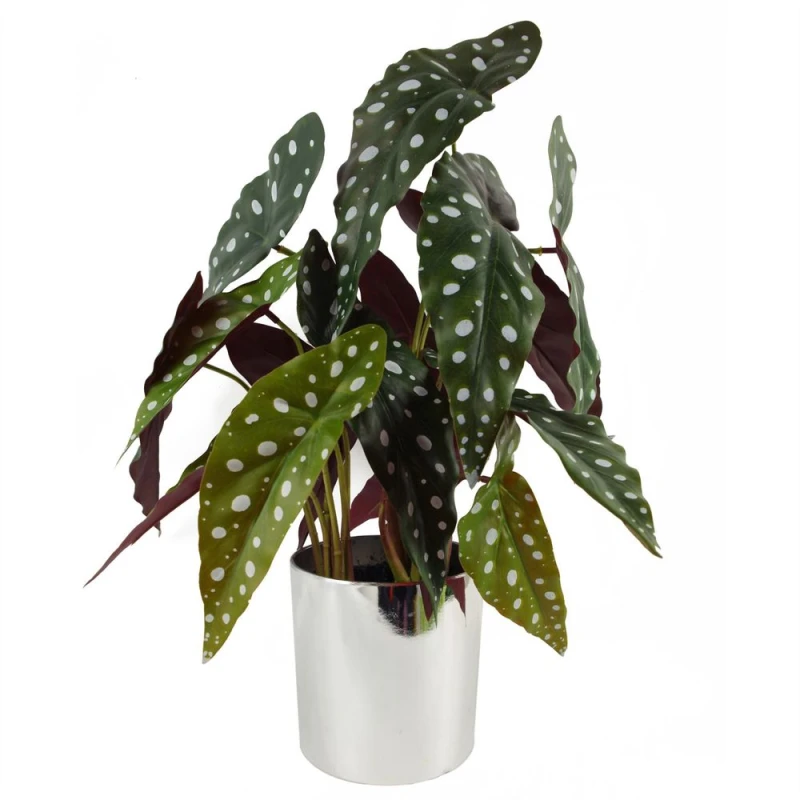 Image of Leaf 40cm Artificial Begonia Maculata Plant Green unisex