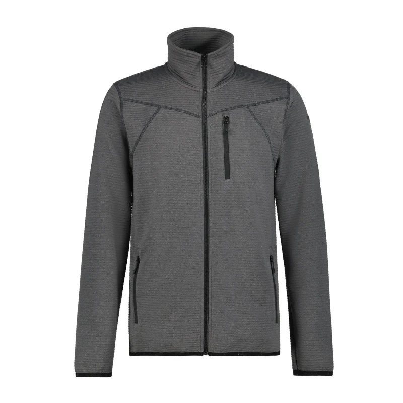 Image of Fleece Icepeak Berthold Gris Male S