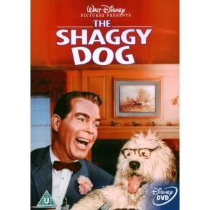 Image of The Shaggy Dog DVD