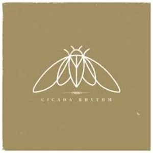 Image of Cicada Rhythm - Cicada Rhythm Vinyl