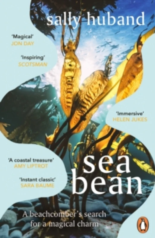 Image of Sea Bean Paperback / softback