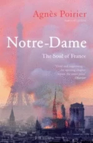 Image of notre dame the soul of france