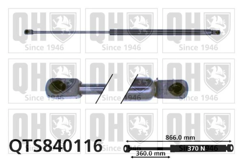 Image of QUINTON HAZELL Tailgate strut QUINTON HAZELL QTS840116