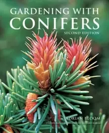 Image of Gardening with Conifers