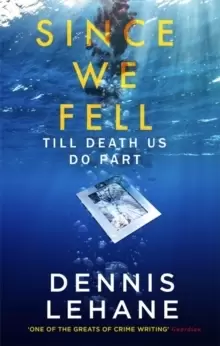 Image of Since We Fell