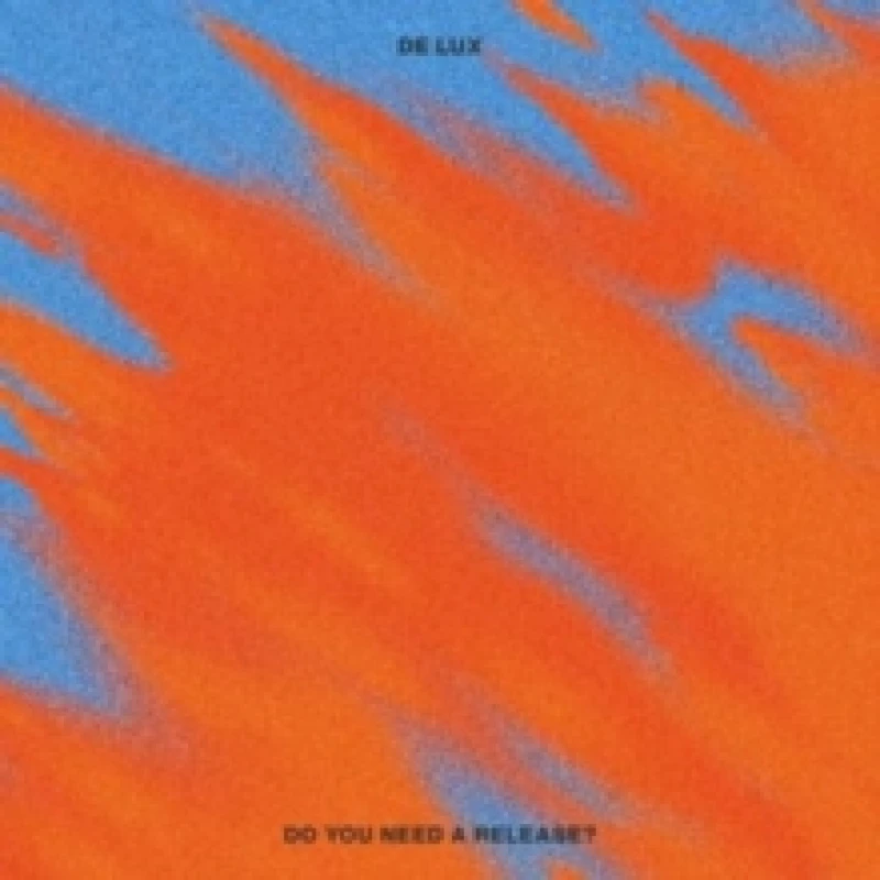 Image of Do You Need a Release? Vinyl