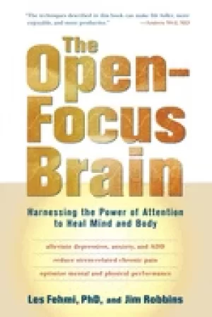 Image of open focus brain harnessing the power of attention to heal mind and body