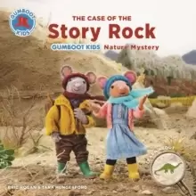 Image of The Case of the Story Rock