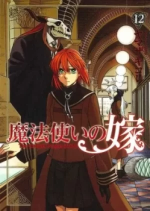 Image of The ancient magus bride Volume 12 by Kore Yamazaki