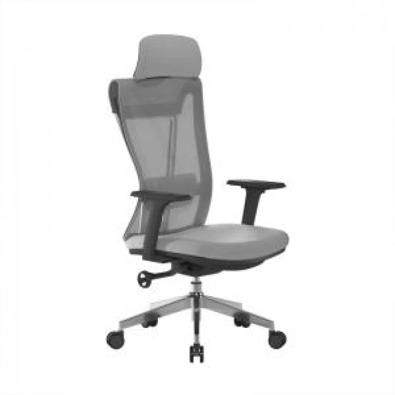 Image of Highly Adjustable Eco-Friendly Mesh Chair Certified for 24 Hour Usage NTDSBCMM355GY