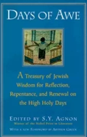 Image of days of awe a treasury of jewish wisdom for reflection repentance and renew