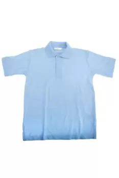 image of Klassic Superwash 60 Polo Shirt (Pack of 2)