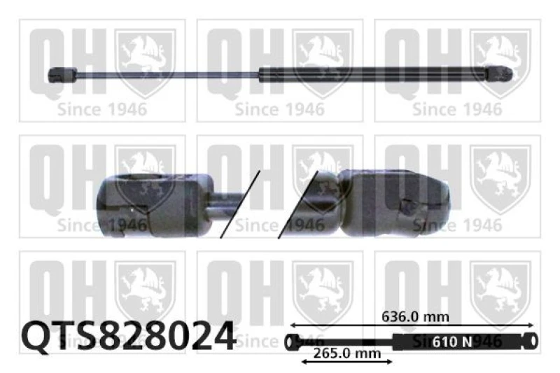 Image of QUINTON HAZELL Tailgate strut QUINTON HAZELL QTS828024