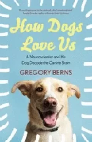 Image of how dogs love us a neuroscientist and his dog decode the canine brain