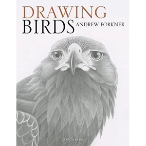 Image of Drawing Birds Paperback / softback 2018