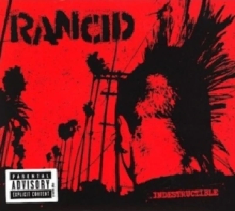 Image of Indestructible (Bonus Tracks Edition) Vinyl