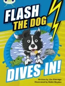 Image of Bug Club Independent Fiction Year 3 Brown B Flash the Dog Dives In!