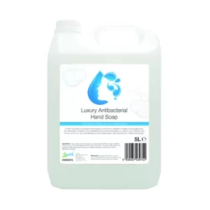 image of 2Work Conditioning Antibacterial Handwash 5 Litre Bulk Bottle 2W03975