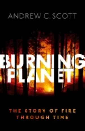 Image of burning planet the story of fire through time