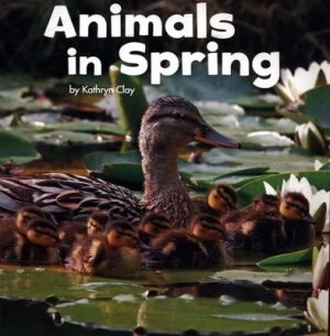 Image of Animals in Spring by Kathryn Clay Book