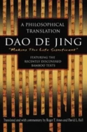 Image of dao de jing a philosophical translation