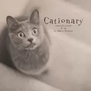 Image of cationary meaningful portraits of cats