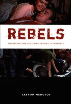 Image of Rebels by Leerom Medovoi Book