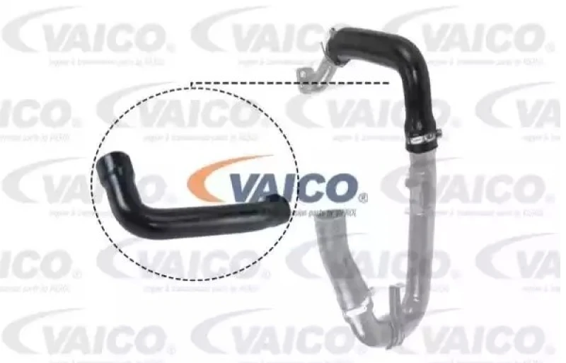 Image of Charger intake hose VAICO V24-0696