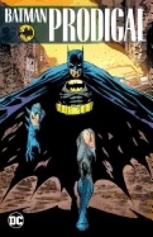 Image of batman prodigal