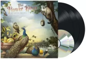Image of The Flower Kings By royal decree LP multicolor