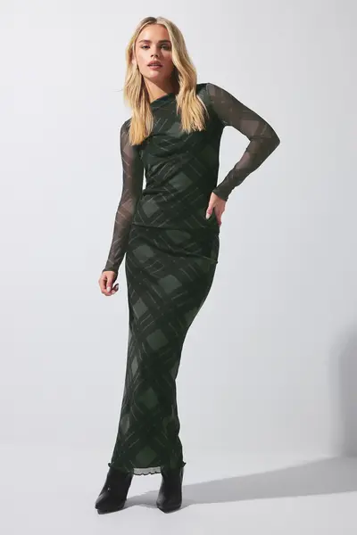Image of Petite Printed Mesh Maxi Skirt