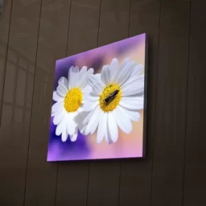 Image of 2828?ACT-39 Multicolor Decorative LED Lighted Canvas Painting