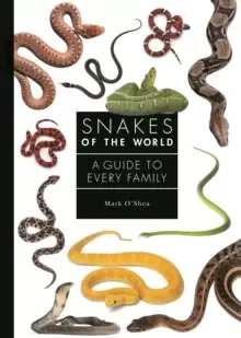 Image of Snakes of the World : A Guide to Every Family