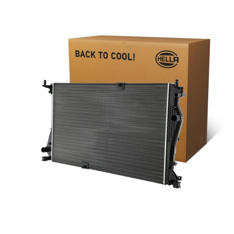 Image of HELLA Engine radiator HELLA 8MK 366 301-871