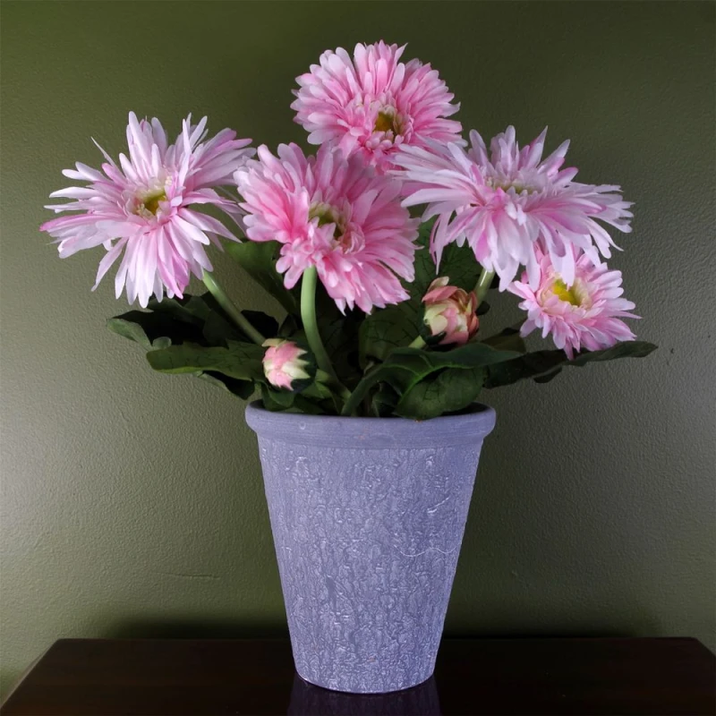 Image of Leaf Pink Daisy Flowers Plant Flowering Plant Artificial Botanik Pink