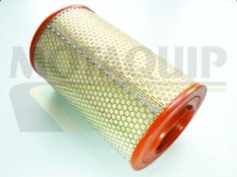 Image of MOTAQUIP Air filter MOTAQUIP VFA728
