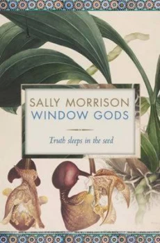 Image of Window Gods by Sally Morrison Paperback