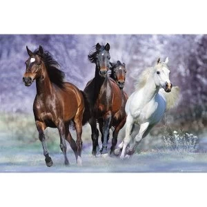 Image of Bob Langrish Running Horses Poster