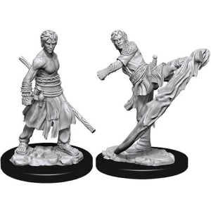 Image of Dungeons & Dragons Nolzur's Marvelous Unpainted Miniatures - Male Half-Elf Monk