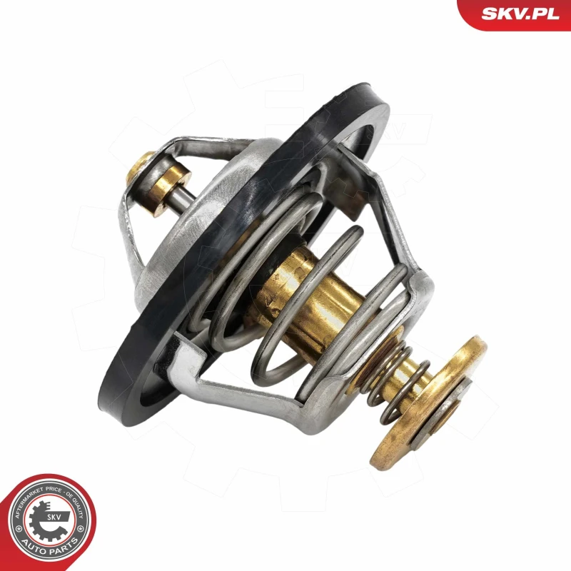 Image of ESEN SKV Thermostat ESEN SKV 20SKV255