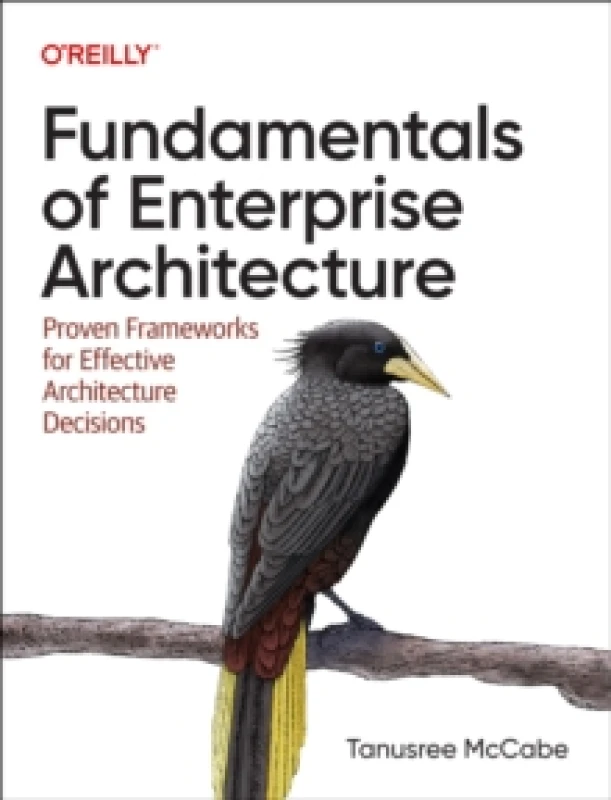 Image of Fundamentals of Enterprise Architecture. Paperback. By Tanu McCabe Books
