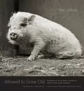 Image of allowed to grow old portraits of elderly animals from farm sanctuaries