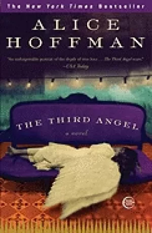 Image of third angel a novel